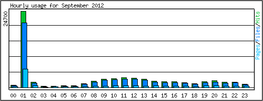 Hourly usage