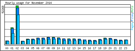 Hourly usage