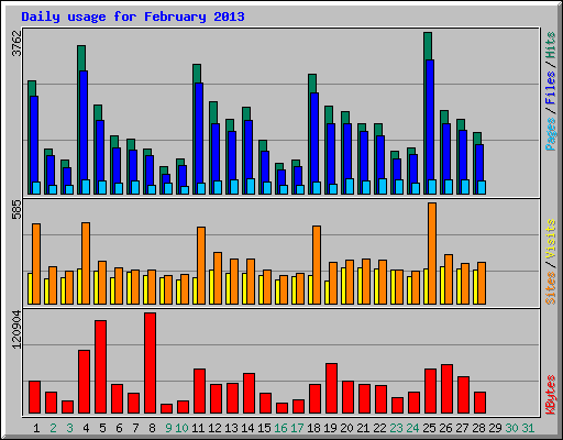 Daily usage for February 2013