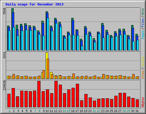Daily usage for December 2013