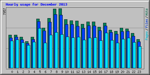 Hourly usage for December 2013