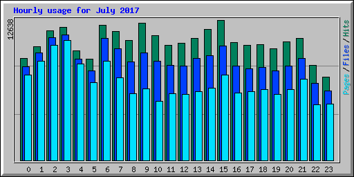 Hourly usage for July 2017