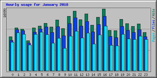 Hourly usage for January 2018