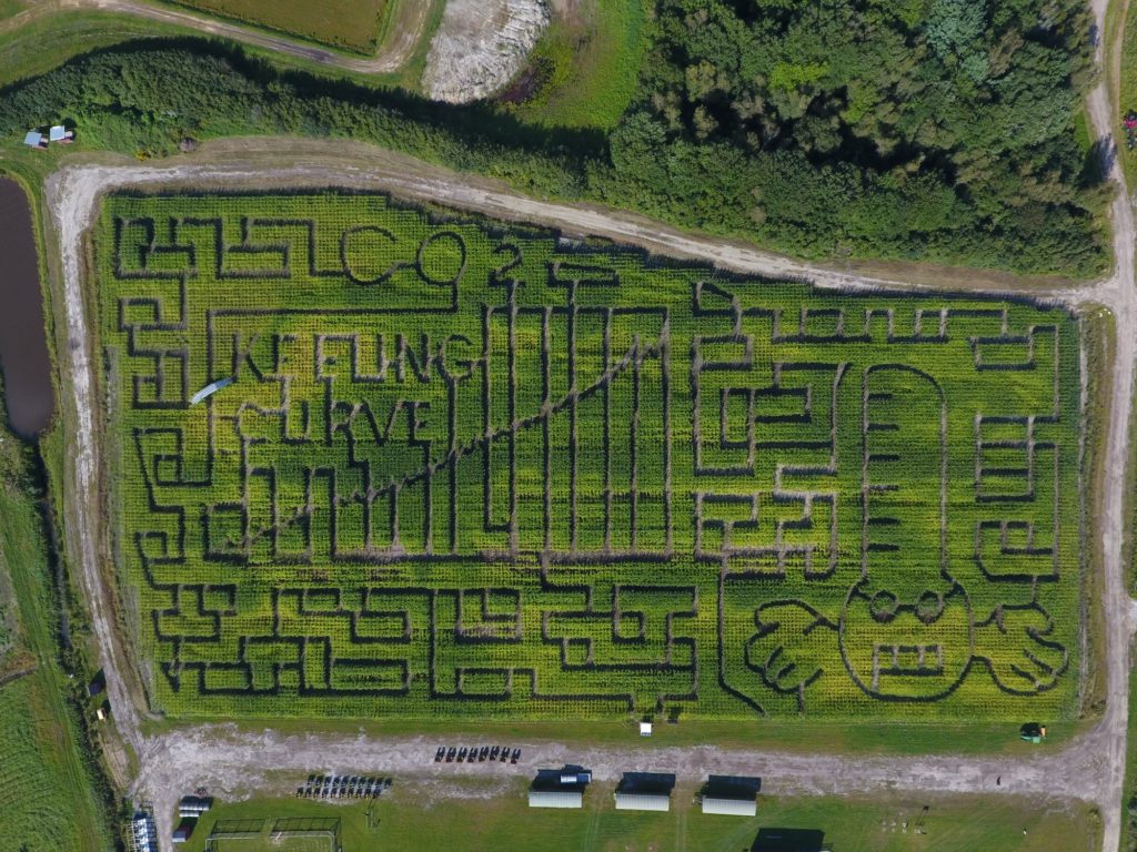 Picture of Sauchuk farm's corn maze