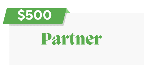 $500 Partner Sponsor level image