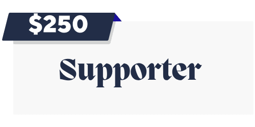 $250 Supporter Sponsorship Level image