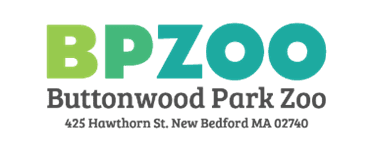 Graphic reads "BP Zoo Buttonwood Park Zoo - 425 Hawthorn Street, New Bedford, MA 02740